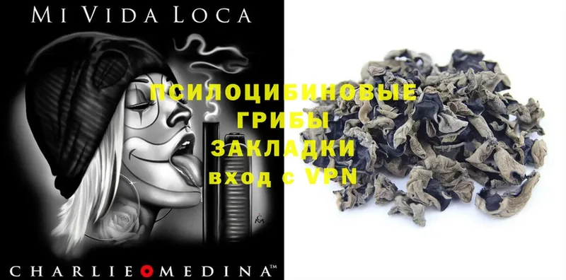 купить   Назарово  Псилоцибиновые грибы Magic Shrooms 